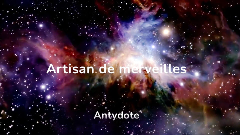 Antydote Artisan De Merveilles W