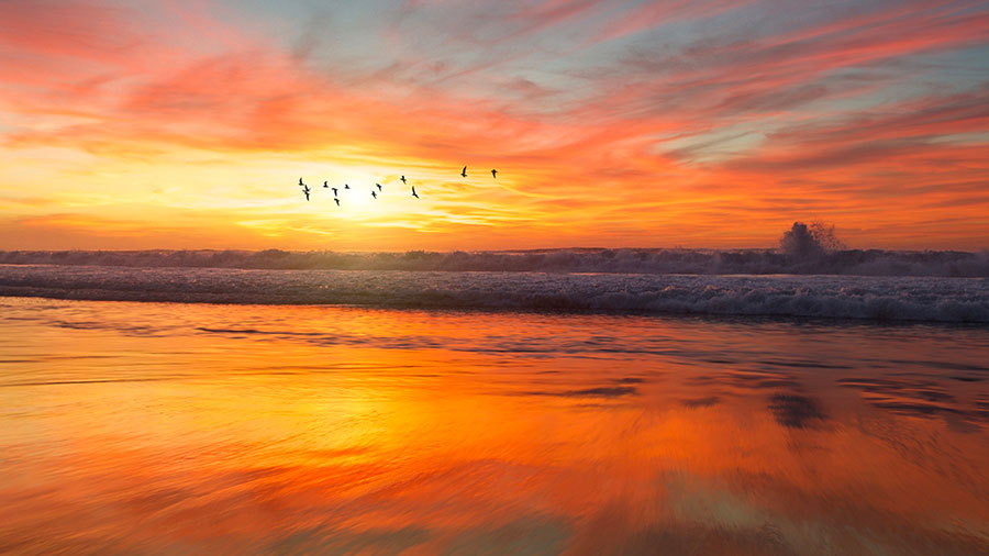 02 18 Mdm Suivre Jesus Christ W