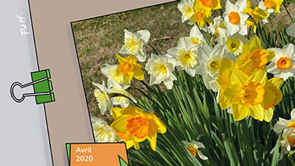 04p Indifference Du Printemps W