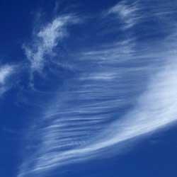 13 Quelqun a Disparut W