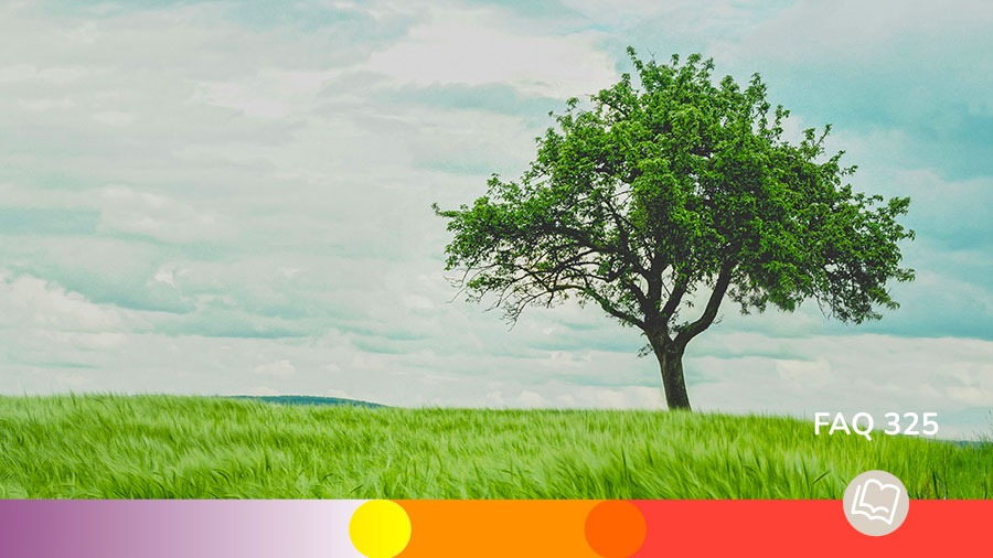 FAQ 325 Etre Inebranlable Ds La Foi En Jesus W