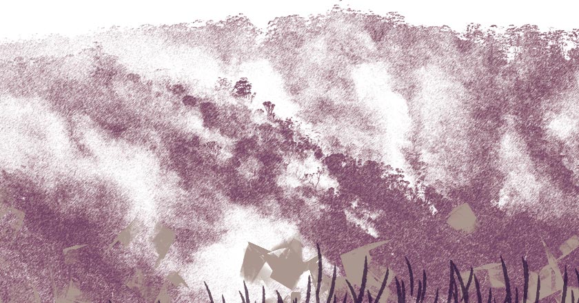 09 Le Feu De Brousse W