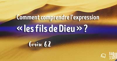 FAQ 332