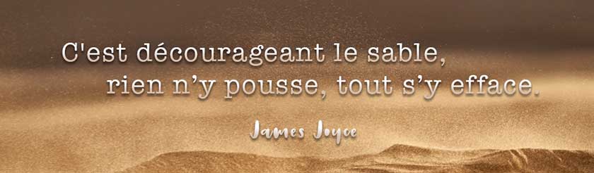 C'est decourageant le sable rien y pousse - James Joyce