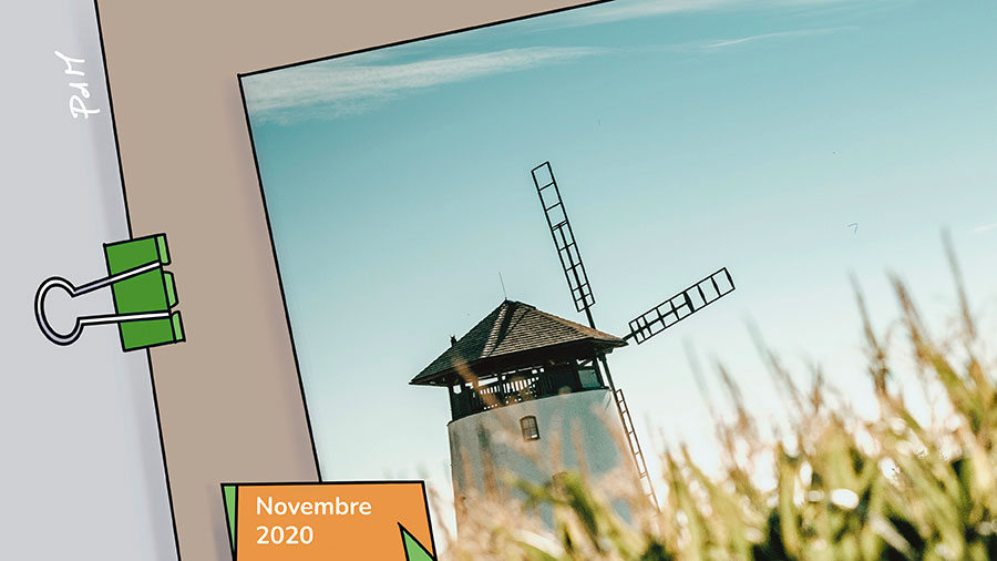 Du grain à moudre - Moulin à vent dans un pré de maïs