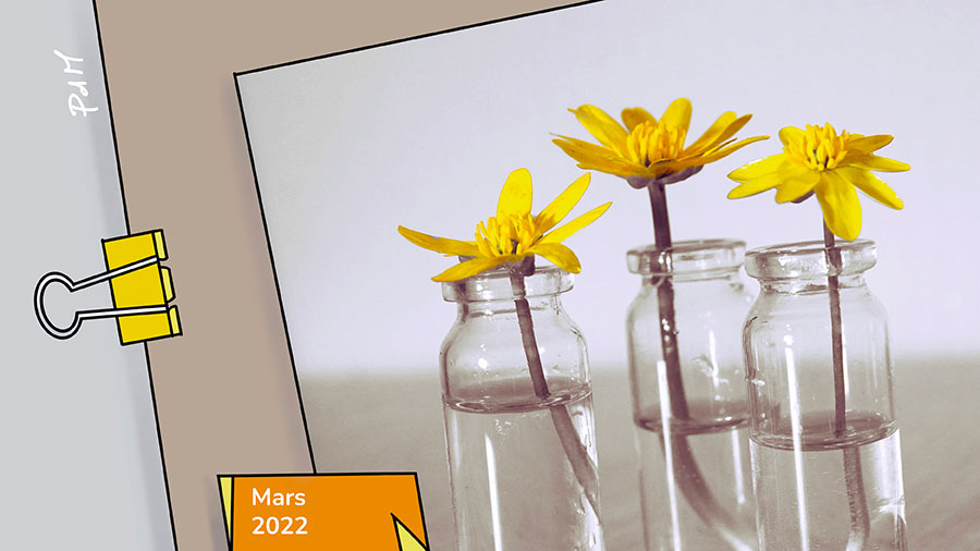 Amour, Vérité & Honneur - 3 fleurs jaunes dans des vases en verre