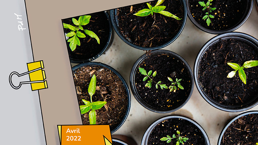  Jardiniers d’espérance… Des petites plantes vertes dans de petits pots de culture