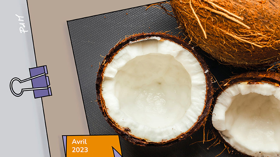 La substantifique moelle… - Des noix de coco 